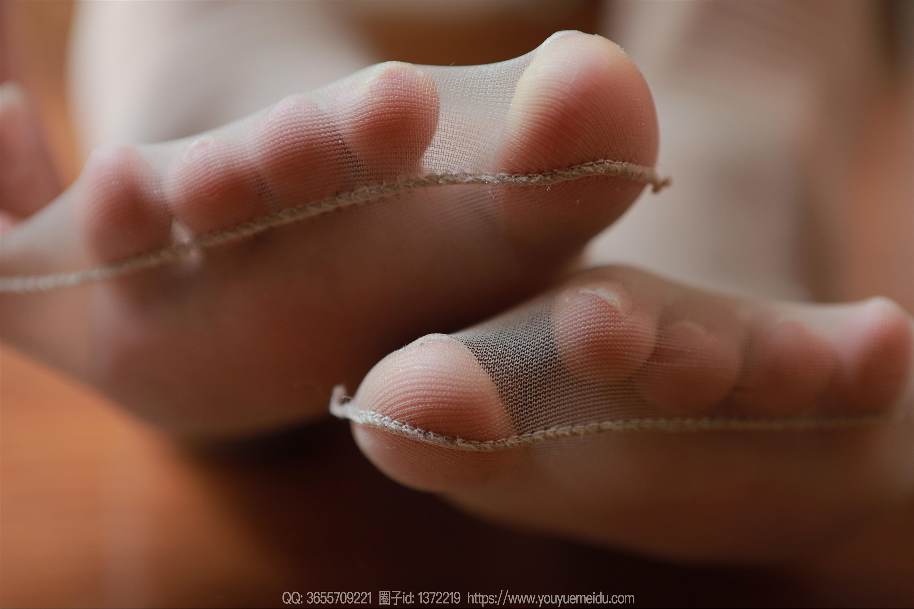 IESS异思趣向  2024.11.29 丝享家 1911 小金《温婉如玉》